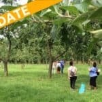 VoorWaards Hoeksche Waard wil fruitbomen in de wijk, maar raad stemde tegen