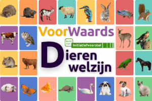 VoorWaards komt met initiatiefvoorstel Dierenwelzijn